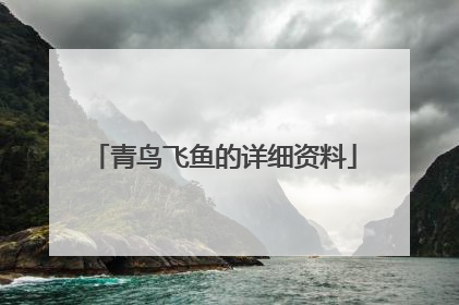 青鸟飞鱼的详细资料