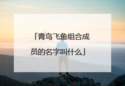 青鸟飞鱼组合成员的名字叫什么
