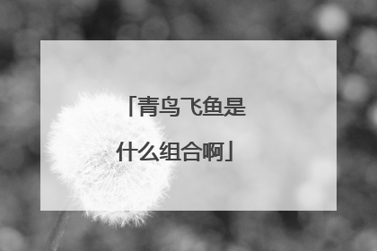 青鸟飞鱼是什么组合啊