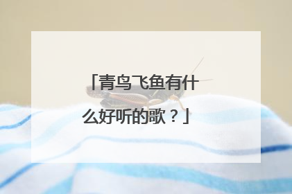 青鸟飞鱼有什么好听的歌？