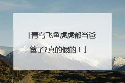 青鸟飞鱼虎虎都当爸爸了?真的假的！