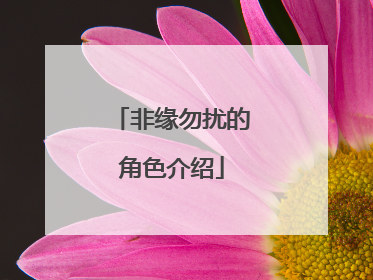 非缘勿扰的角色介绍