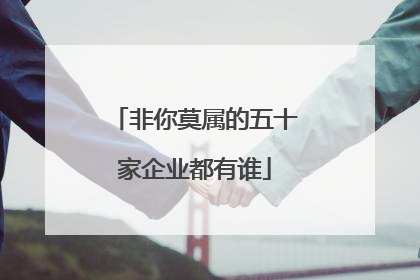 非你莫属的五十家企业都有谁