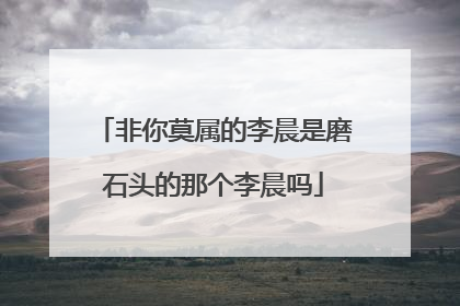 非你莫属的李晨是磨石头的那个李晨吗