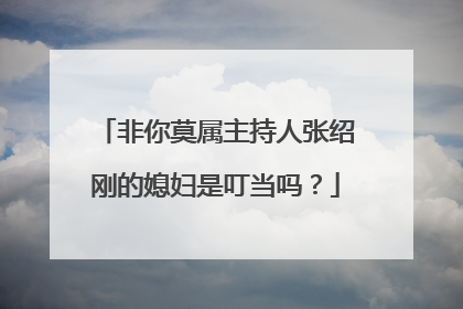 非你莫属主持人张绍刚的媳妇是叮当吗？