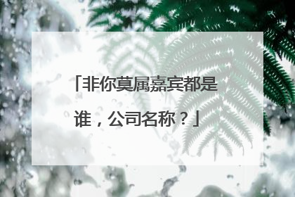 非你莫属嘉宾都是谁，公司名称？