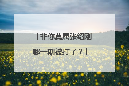 非你莫属张绍刚哪一期被打了?