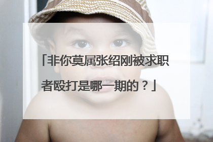 非你莫属张绍刚被求职者殴打是哪一期的？