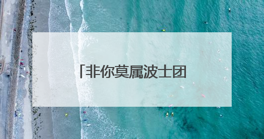 非你莫属波士团成员都有谁啊