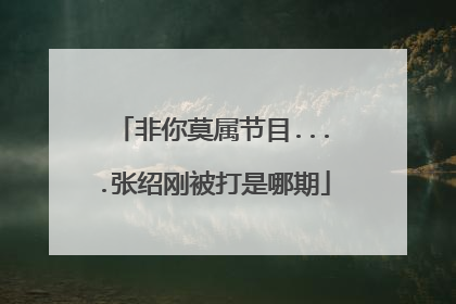 非你莫属节目....张绍刚被打是哪期