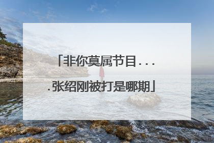 非你莫属节目....张绍刚被打是哪期