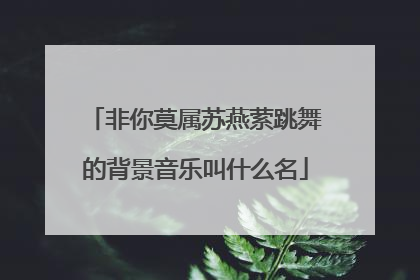 非你莫属苏燕萦跳舞的背景音乐叫什么名