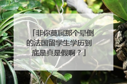 非你莫属那个晕倒的法国留学生学历到底是真是假啊?
