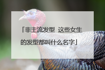 非主流发型 这些女生的发型都叫什么名字