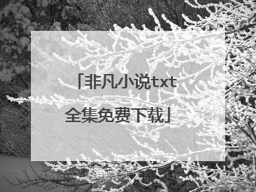 非凡小说txt全集免费下载