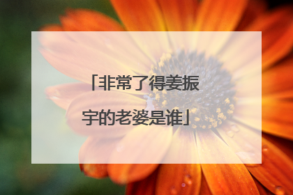 非常了得姜振宇的老婆是谁