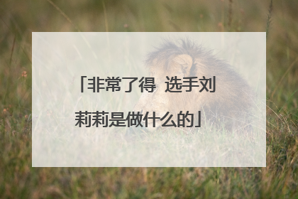 非常了得 选手刘莉莉是做什么的