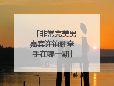 非常完美男嘉宾许镇耀牵手在哪一期