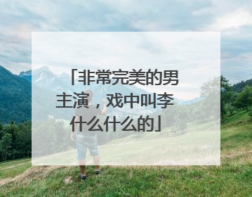 非常完美的男主演，戏中叫李什么什么的