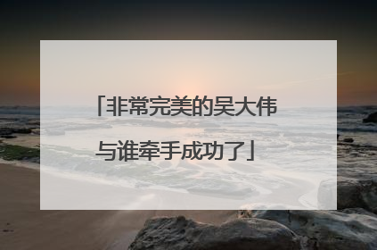非常完美的吴大伟与谁牵手成功了