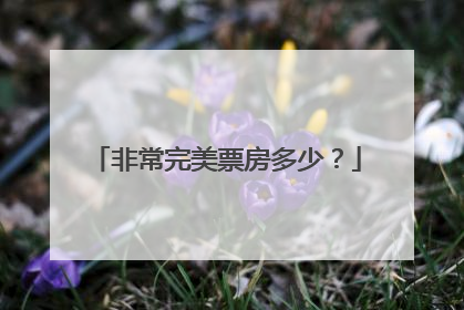 非常完美票房多少？