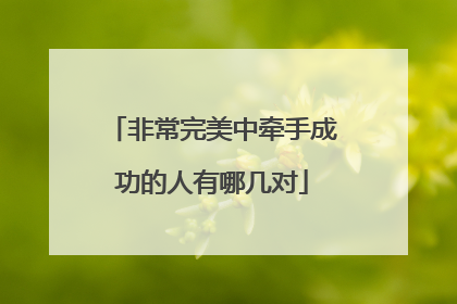 非常完美中牵手成功的人有哪几对