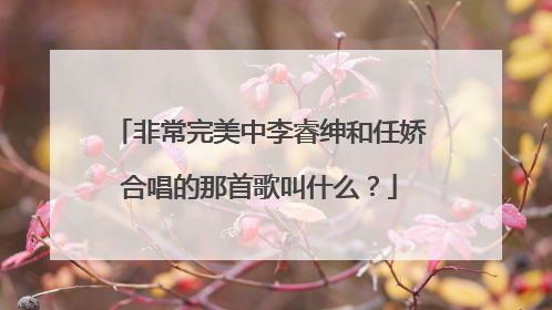 非常完美中李睿绅和任娇合唱的那首歌叫什么？