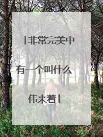 非常完美中有一个叫什么伟来着