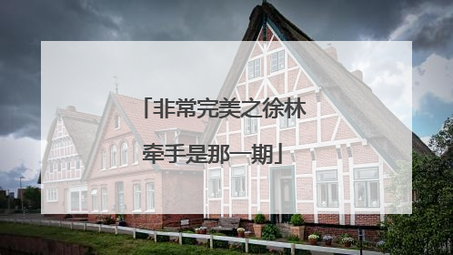 非常完美之徐林牵手是那一期