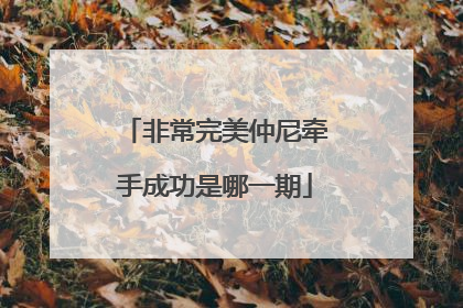 非常完美仲尼牵手成功是哪一期