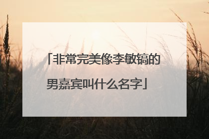 非常完美像李敏镐的男嘉宾叫什么名字
