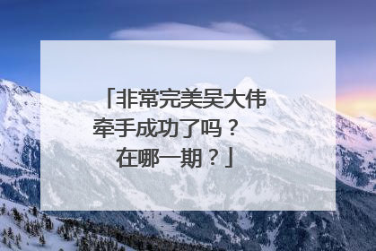 非常完美吴大伟牵手成功了吗？ 在哪一期？