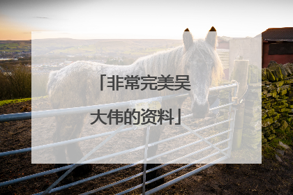 非常完美吴大伟的资料