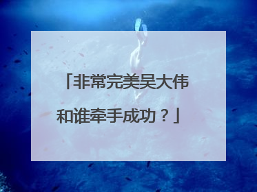 非常完美吴大伟和谁牵手成功？