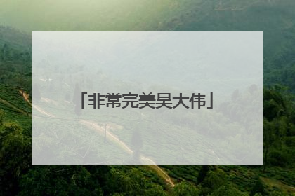 非常完美吴大伟