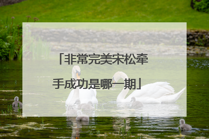 非常完美宋松牵手成功是哪一期