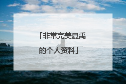 非常完美夏禹的个人资料