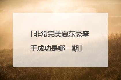 非常完美夏东豪牵手成功是哪一期