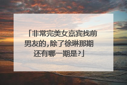 非常完美女嘉宾找前男友的,除了徐琳那期还有哪一期是?