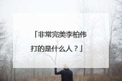非常完美李柏伟打的是什么人？