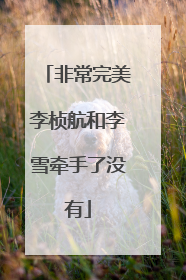 非常完美李桢航和李雪牵手了没有