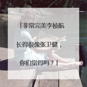 非常完美李桢航长得很像张卫健,你们觉得吗?