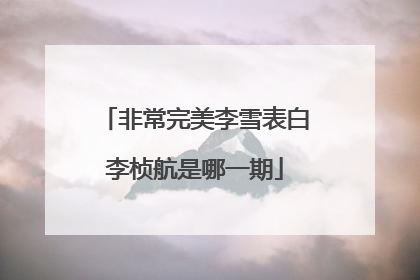 非常完美李雪表白李桢航是哪一期