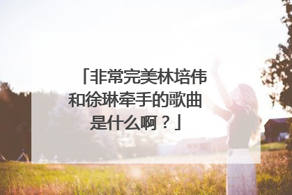 非常完美林培伟和徐琳牵手的歌曲是什么啊?