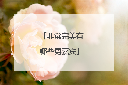 非常完美有哪些男嘉宾