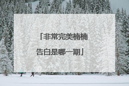 非常完美楠楠告白是哪一期