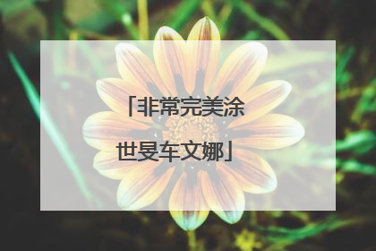 非常完美涂世旻车文娜