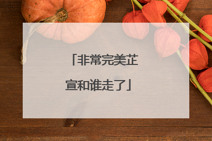非常完美芷宣和谁走了