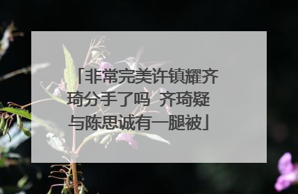 非常完美许镇耀齐琦分手了吗 齐琦疑与陈思诚有一腿被