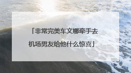 非常完美车文娜牵手去机场男友给他什么惊喜